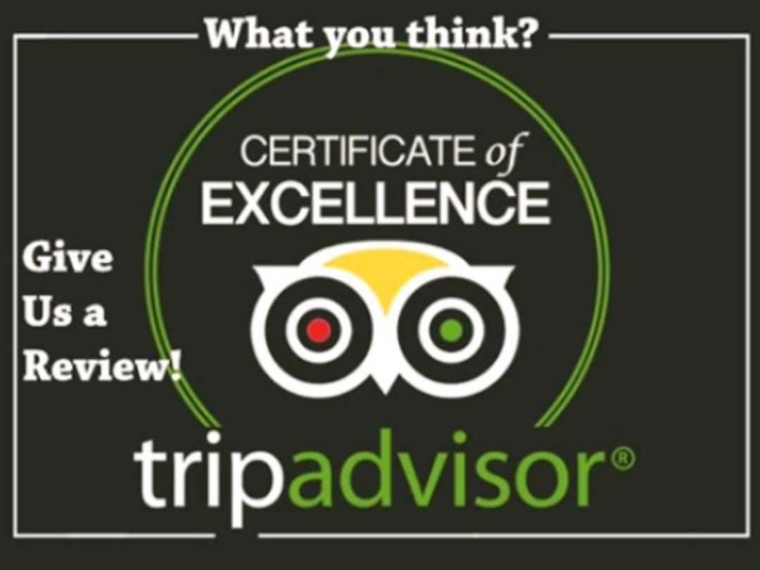 Would you review us? Would you review us?