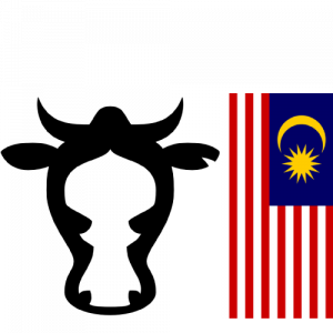 Beef Rendang (Malaysian)