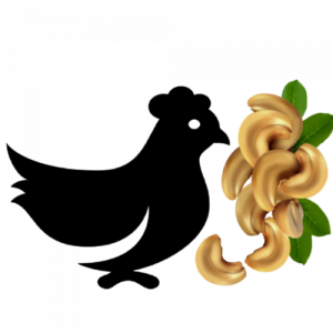 Gai Pad Med Mamuang - Chicken Cashew Nut