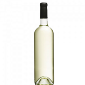 Pinot Grigio Delle Venezie, Italy (Bottle)